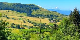 Biologico appartamento vacanze Il Grottino di Sarzana